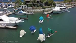 umbrella regatta